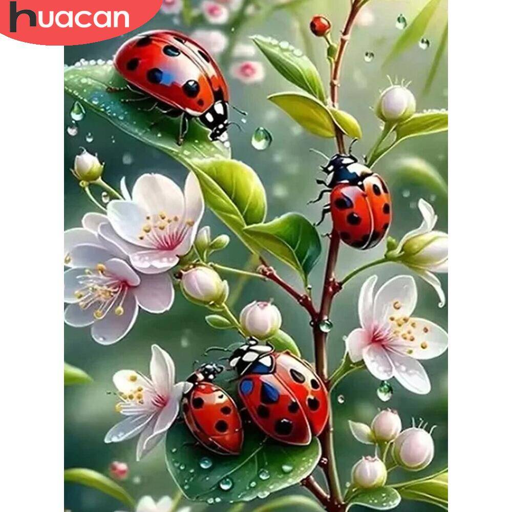 HUACAN 5d Diamond Painting Lad - Embroidery Lady Bug recension och pris